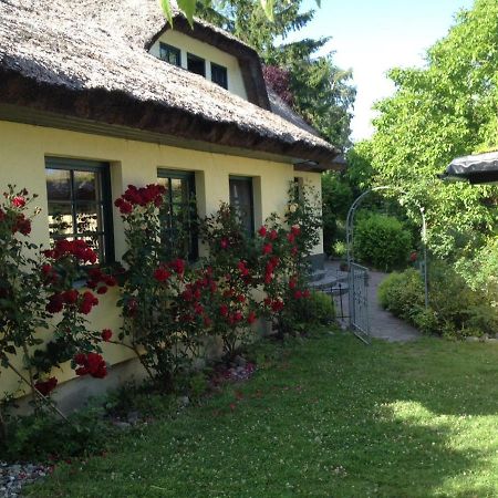 Ferienwohnung Urlaub unter Reet Bergen Auf Rugen Exterior foto